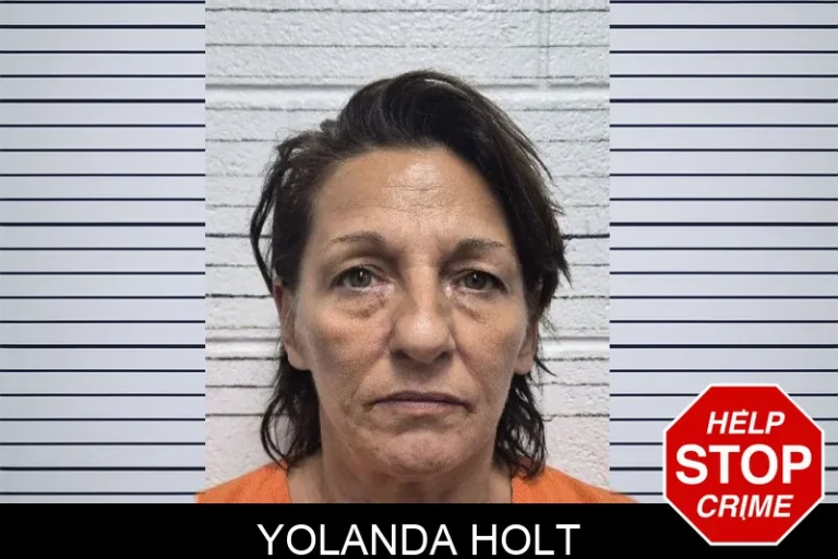 Yolanda Holt mugshot – Dade County , Georgia Yolanda Holt