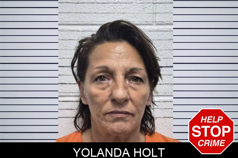 Yolanda Holt mugshot – Dade County , Georgia Yolanda Holt mugshot