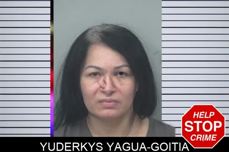 Yuderkys Yagua-Goitia