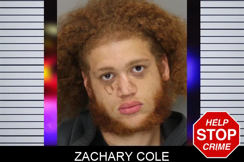 Zachary Cole mugshot – Cobb County , Georgia Zachary Cole mugshot