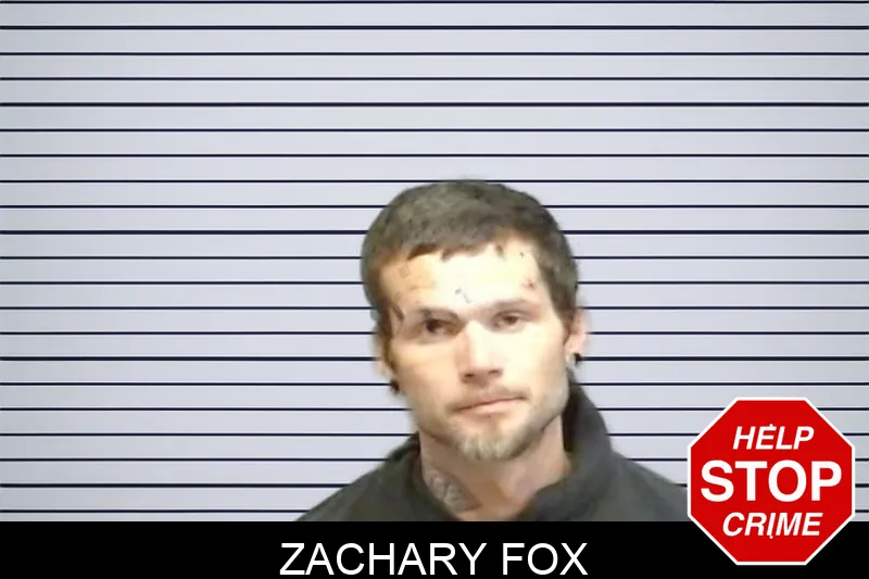 Zachary Fox mugshot