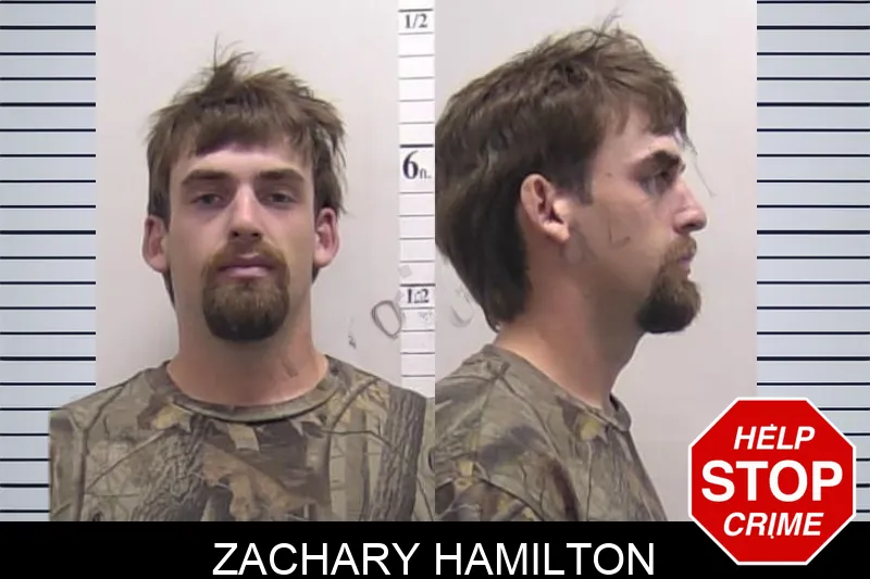 Zachary Hamilton mugshot