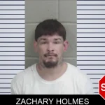 Zachary Holmes mugshot – Wayne County , Georgia Zachary Holmes mugshot