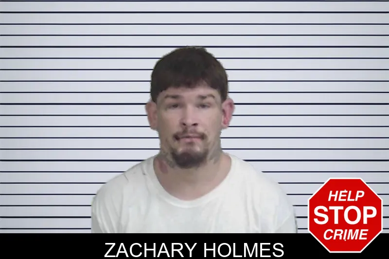 Zachary Holmes mugshot – Wayne County , Georgia Zachary Holmes mugshot