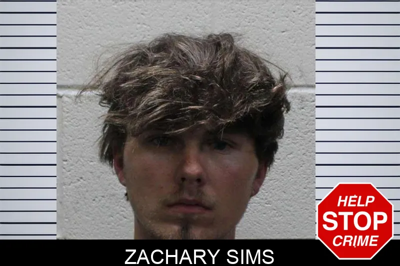 Zachary Sims mugshot