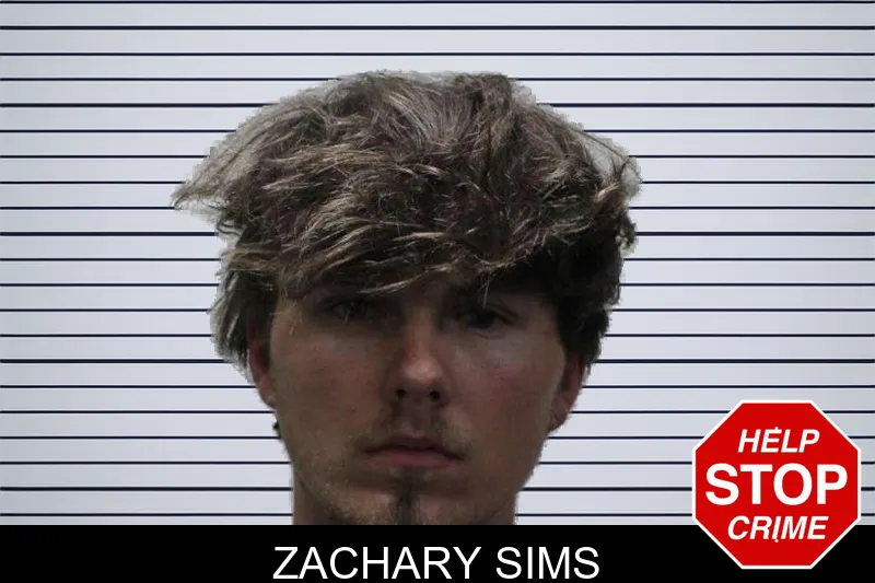 Zachary Sims mugshot