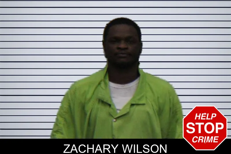 Zachary Wilson mugshot