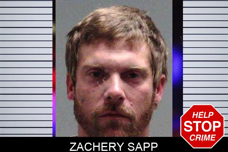 Zachery Sapp mugshot – Burke County , Georgia Zachery Sapp mugshot