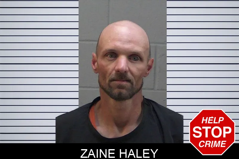 Zaine Haley mugshot – Madison County , Georgia Zaine Haley mugshot