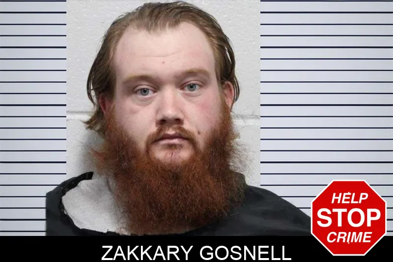 Zakkary Gosnell mugshot – Habersham County , Georgia Zakkary Gosnell mugshot