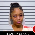 Zeandra Gipson mugshot – Bartow County , Georgia Zeandra Gipson mugshot