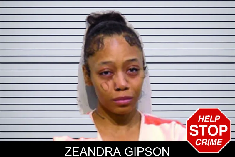 Zeandra Gipson mugshot – Bartow County , Georgia Zeandra Gipson mugshot