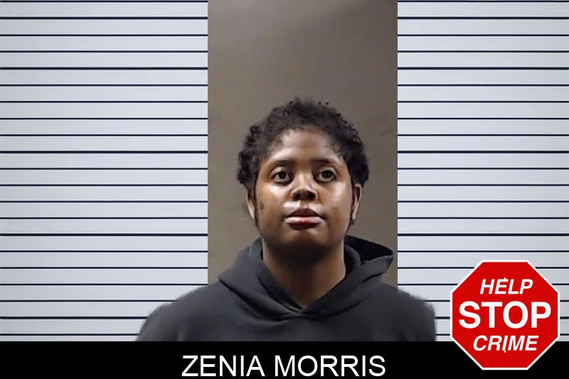 Zenia Morris mugshot – DeKalb County , Georgia Zenia Morris mugshot