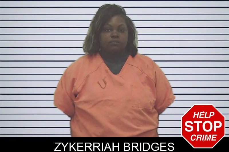 Zykerriah Bridges mugshot