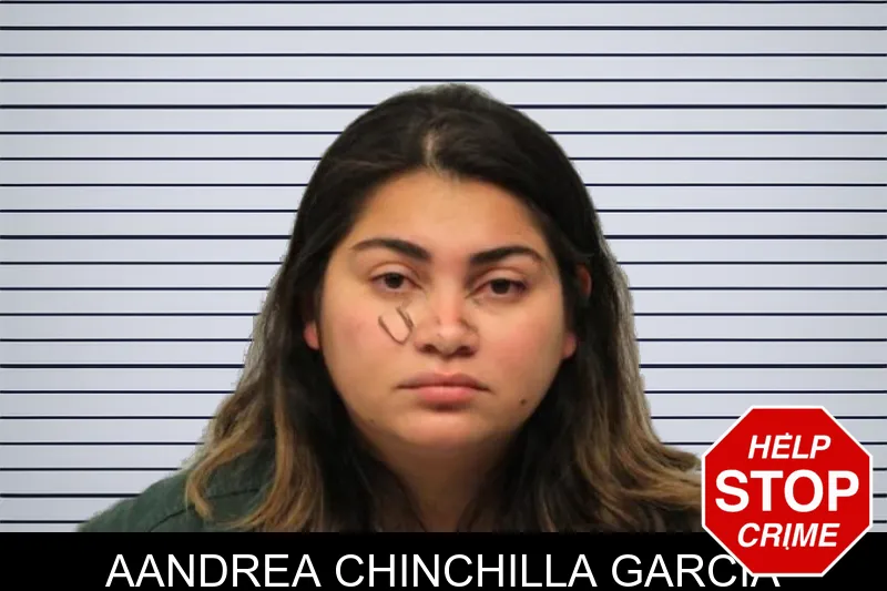 Aandrea Chinchilla Garcia mugshot – Chatham County , Georgia Aandrea Chinchilla Garcia mugshot