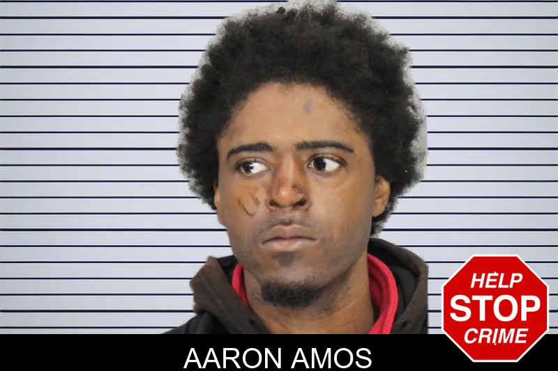 Aaron Amos mugshot