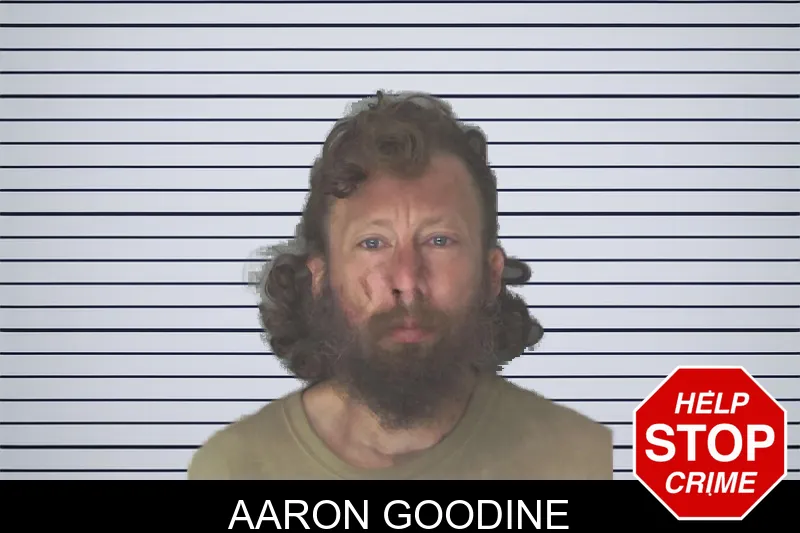 Aaron Goodine mugshot