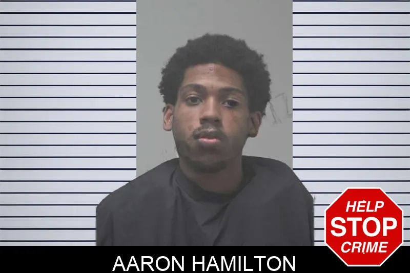 Aaron Hamilton mugshot