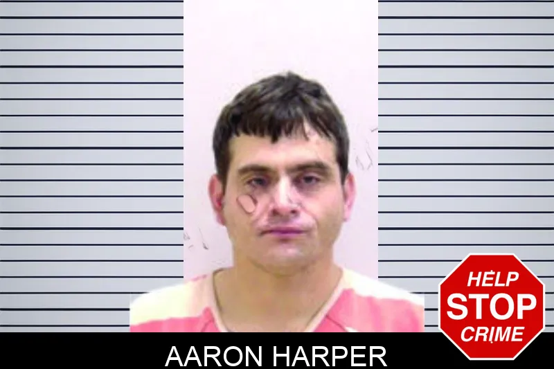 Aaron Harper mugshot – Bartow County , Georgia Aaron Harper mugshot