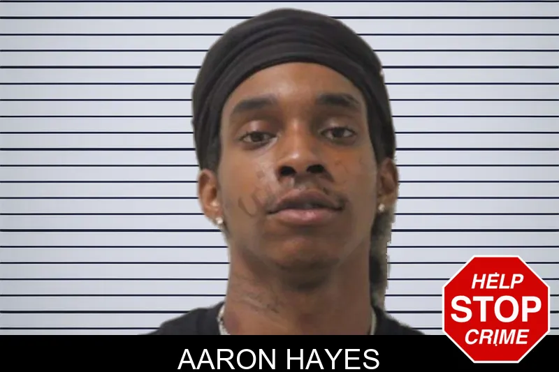 Aaron Hayes mugshot