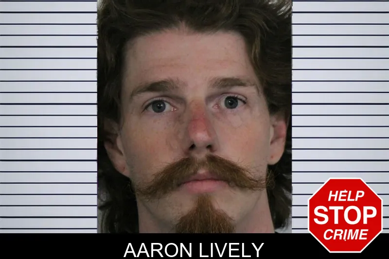 Aaron Lively mugshot