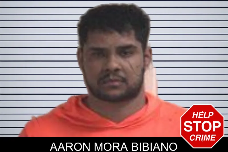 Aaron Mora Bibiano mugshot – Henry County , Georgia Aaron Mora Bibiano mugshot