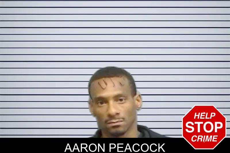 Aaron Peacock mugshot