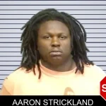 Aaron Strickland mugshot