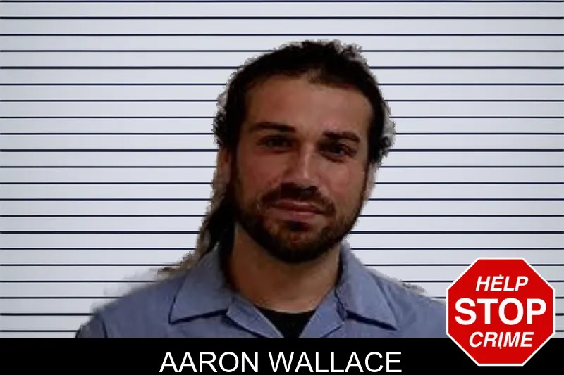 Aaron Wallace mugshot