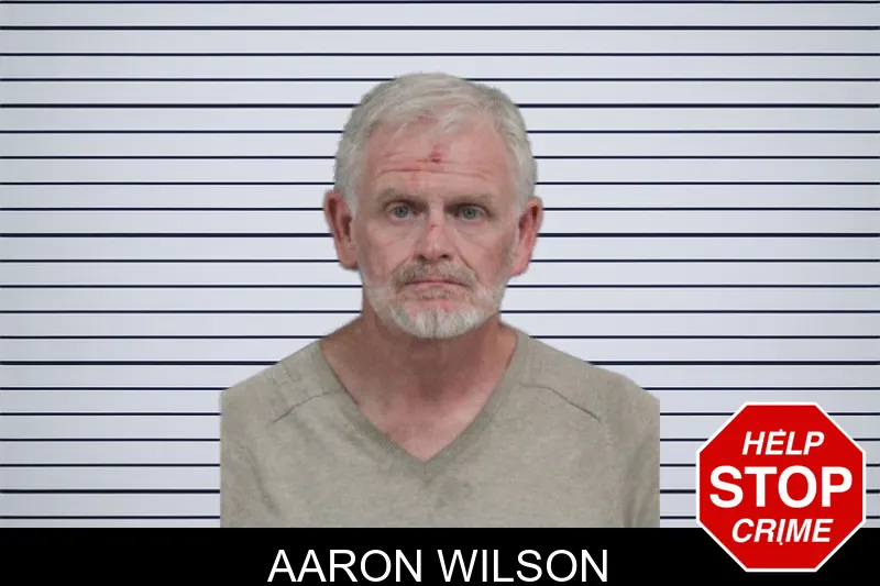 Aaron Wilson mugshot