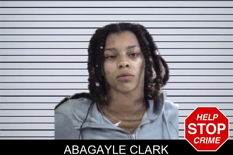 Abagayle Clark mugshot
