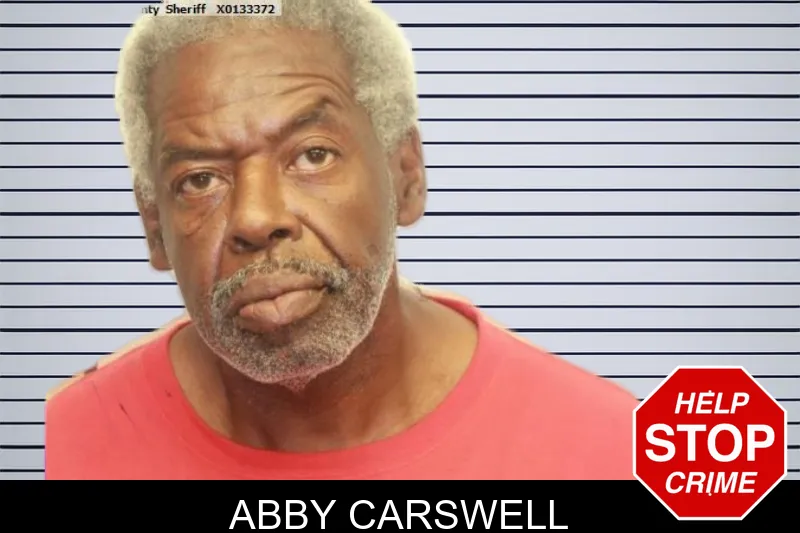 Abby Carswell mugshot
