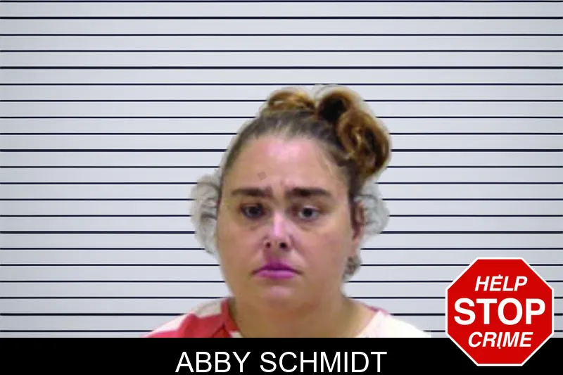Abby Schmidt mugshot – Bartow County , Georgia Abby Schmidt mugshot