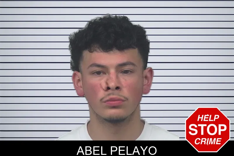 Abel Pelayo mugshot – Gwinnett County , Georgia Abel Pelayo mugshot