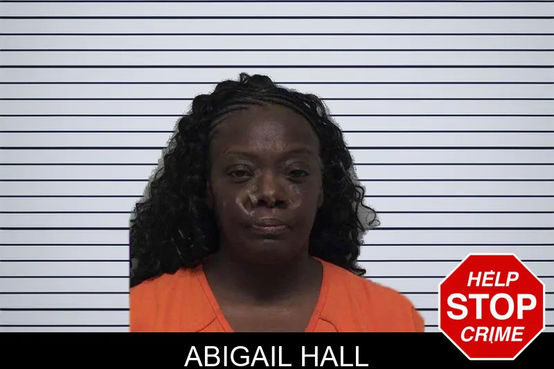 Abigail Hall mugshot
