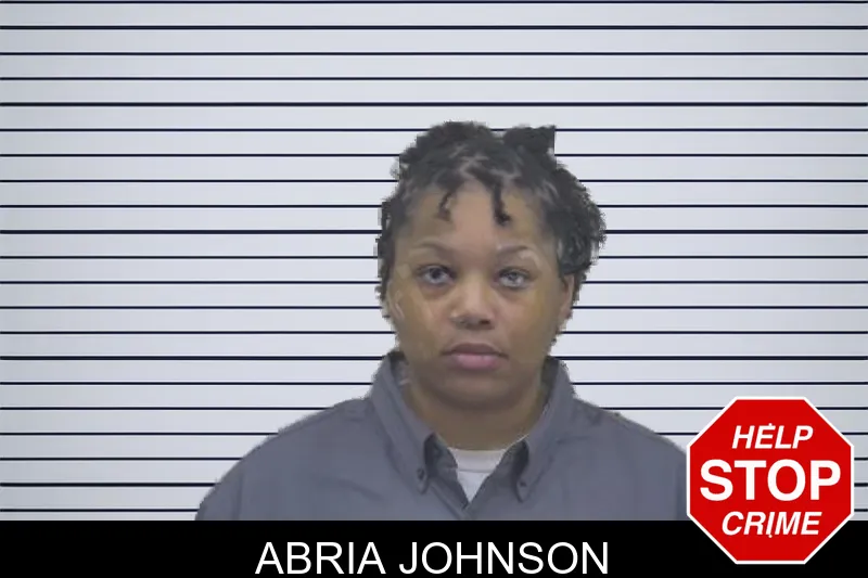 Abria Johnson mugshot