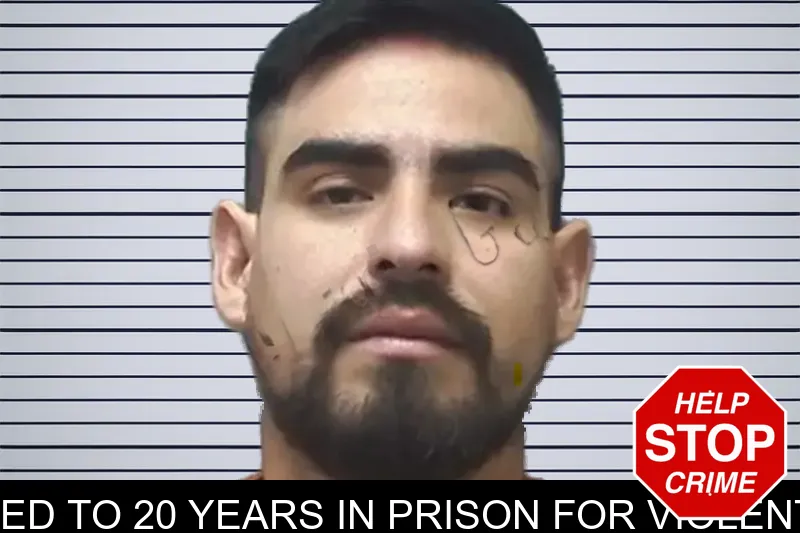 Acworth Man Sentenced to 20 Years in Prison for Violent Domestic Abuse Case mugshot