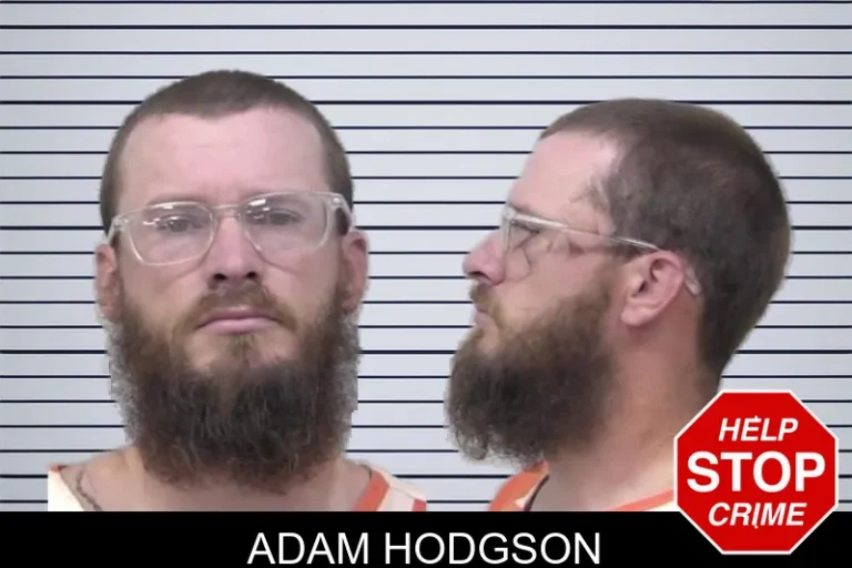 Adam Hodgson