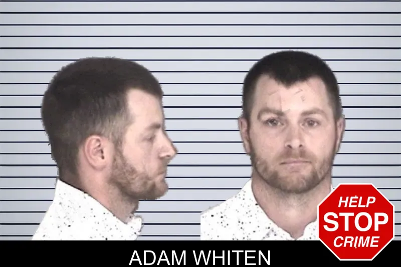Adam Whiten mugshot