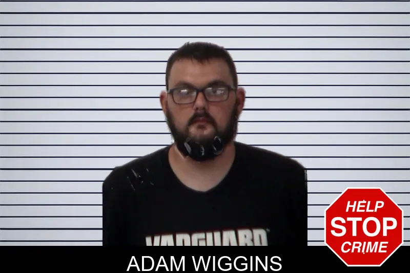 Adam Wiggins mugshot