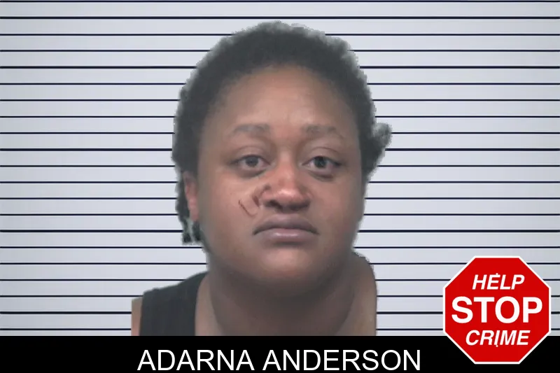 Adarna Anderson mugshot