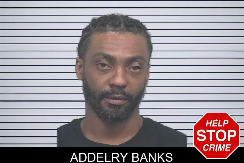 Addelry Banks mugshot