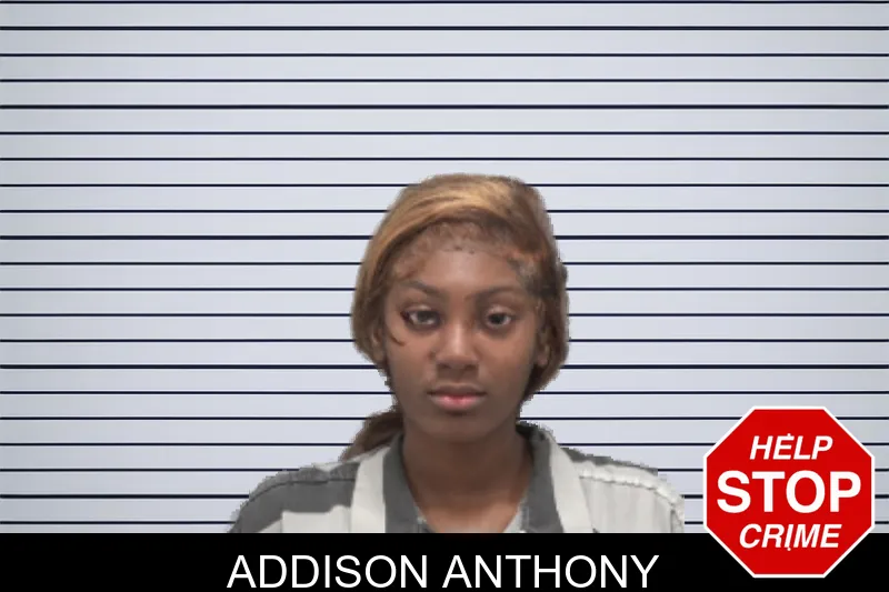 Addison Anthony mugshot