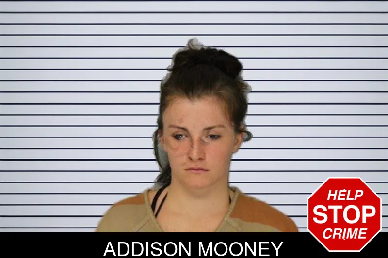 Addison Mooney mugshot