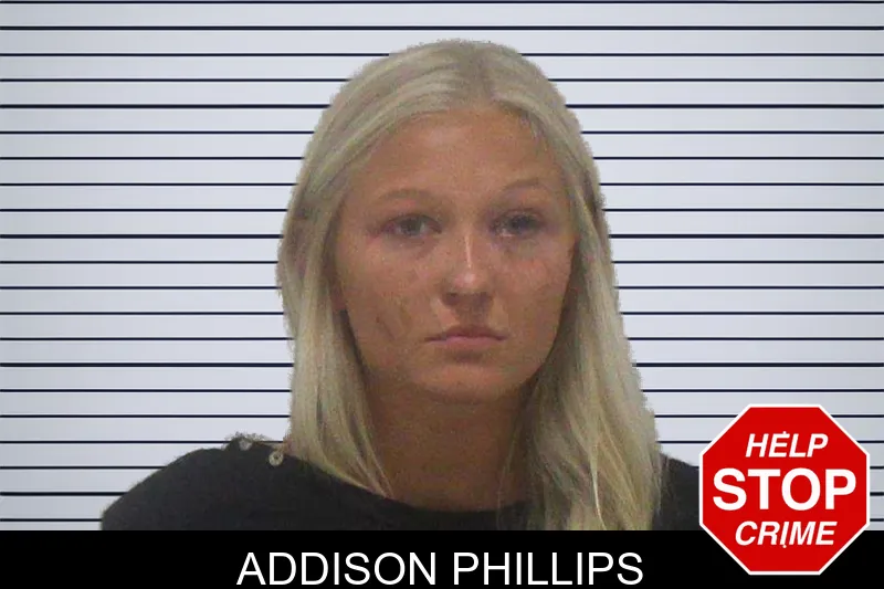 Addison Phillips mugshot