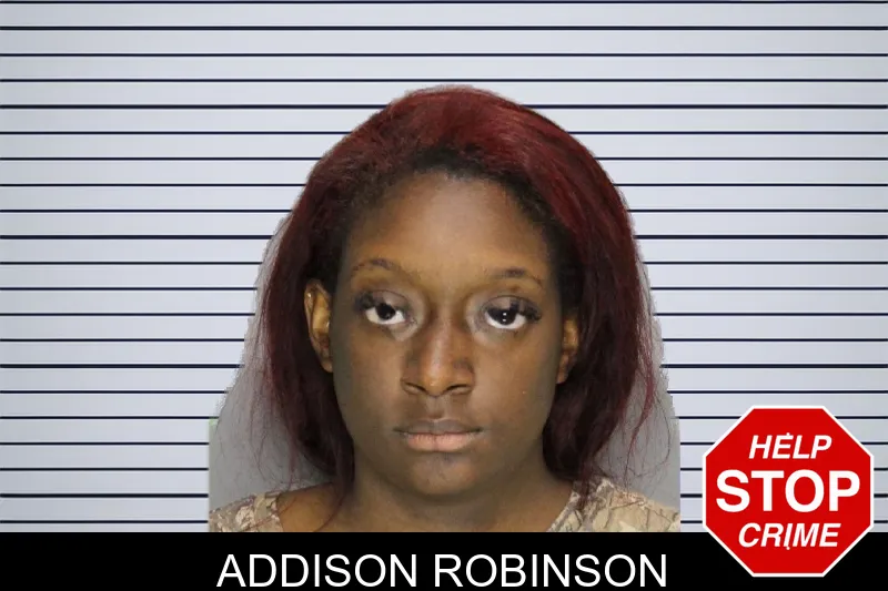 Addison Robinson mugshot – Cobb County , Georgia Addison Robinson mugshot