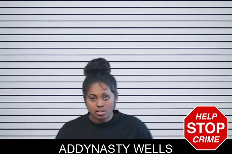 Addynasty Wells mugshot