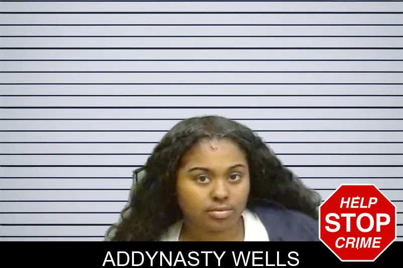 Addynasty Wells mugshot