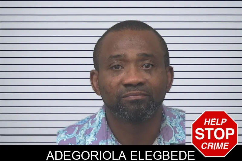 Adegoriola Elegbede mugshot