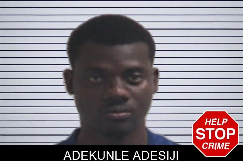Adekunle Adesiji mugshot